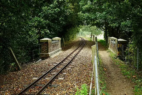 narrow gauge: a track gauge less than standard gauge; such tracks; a railway that uses them