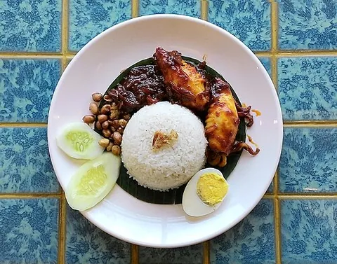 nasi lemak: a fragrant rice dish cooked with coconut milk and pandan leaf, commonly found in Malaysia and...