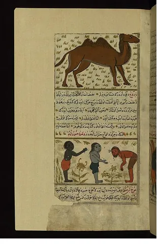 nasnas: a monstrous creature related to the jinn, said to resemble the left or right half of a human being...