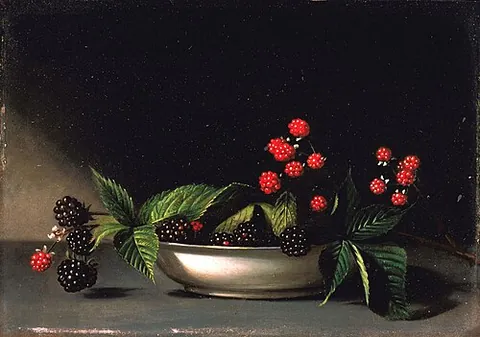 nature morte: an image depicting inanimate objects; a still life