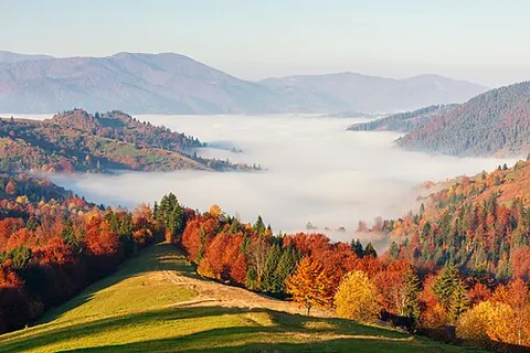 nature reserve: an area of land managed to conserve wildlife or plant habitat or other natural features
