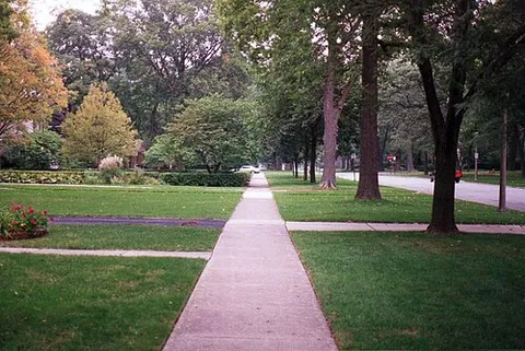 nature strip: an area of grass beside a roadway, possibly with a few trees or shrubs, lying between the roadway...