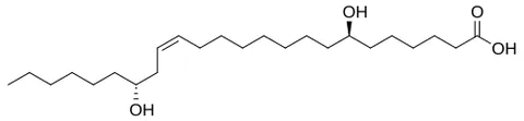nebraskanic acid: a fatty acid found in the seed oil of Chinese violet cress (Orychophragmus violaceus)
