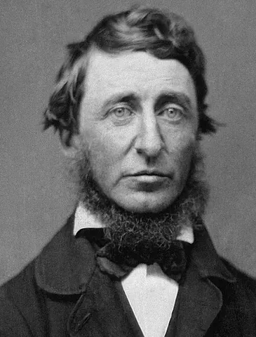 neckbeard: a style of facial hair wherein the beard is allowed to grow down the chin and is trimmed to an even...