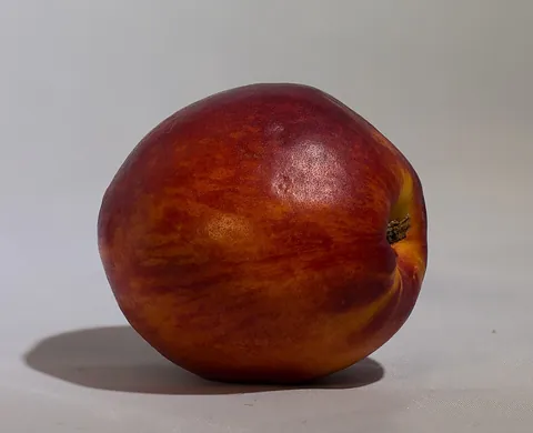 nectarine: a cultivar of the peach with smooth rather than fuzzy skin