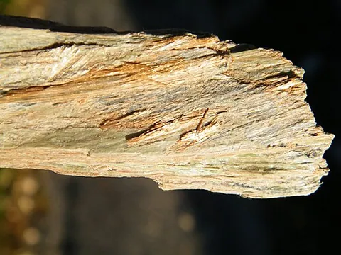 nemalite: a variety of brucite, occurring in slender fibers which are elastic and easily separated, having a...