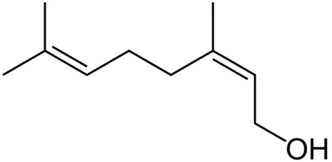 nerol: the monoterpene alcohol (Z)-3,7-dimethyl-2,6-octadien-1-ol, found in many essential oils