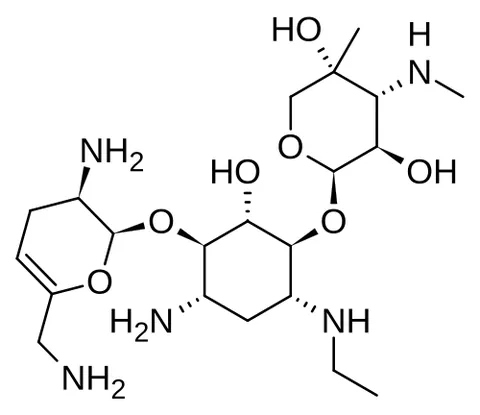 netilmicin: an aminoglycoside antibiotic used in the treatment of serious infections, particularly those...