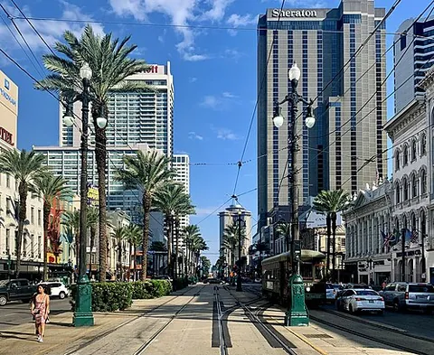 neutral ground: the median strip or central reservation between lanes of traffic in a divided highway