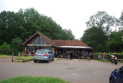 newlands corner: a scenic location and nature reserve in Albury parish, Guildford borough, Surrey, England (OS grid...