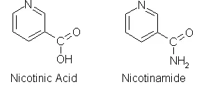 niacin: a water-soluble vitamin, a component of vitamin B complex, found in meat, yeast, and dairy...