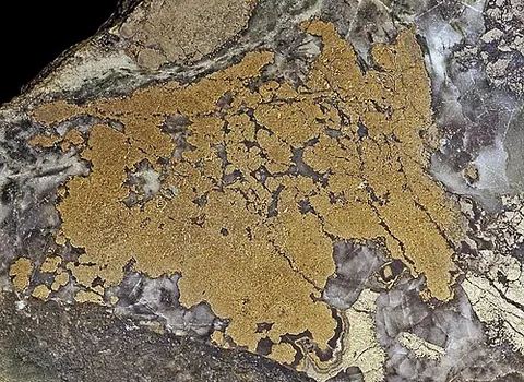 nickeline: a mineral, a form of nickel arsenide, NiAs, having a metallic lustre and copper-red colour, that is...