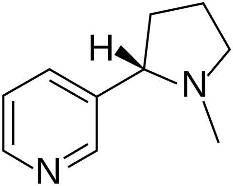 nicotine: an alkaloid (C₁₀H₁₄N₂), commonly occurring in the tobacco plant