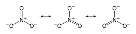 nitrate: any salt or ester of nitric acid