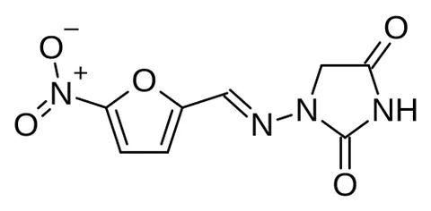 nitrofurantoin: a synthetic nitrofuran drug, 1-(5-nitro-2-furfurylideneamino)hydantoin, that is a broad-spectrum...