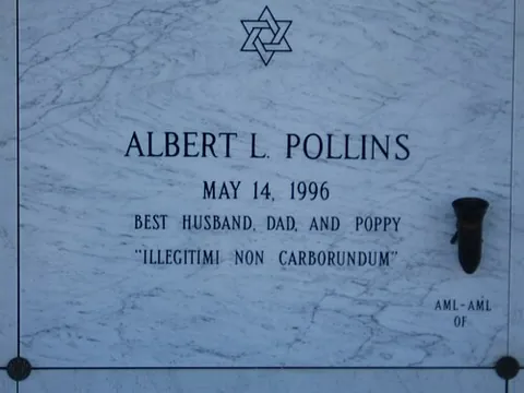 noli illegitimi carborundum: don't let the bastards grind you down
