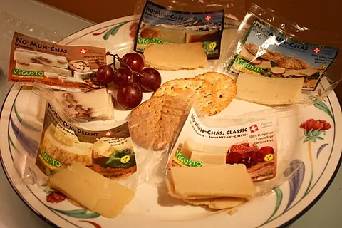 nondairy: not derived from dairy sources