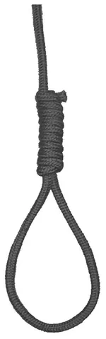 noose: an adjustable loop of rope, such as the one placed around the neck in hangings, or the one at the...
