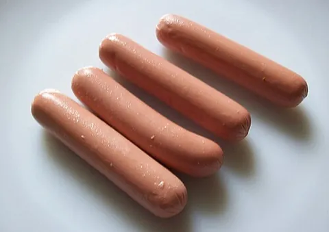 not dog: a vegan or vegetarian sausage, or a hot dog sandwich made with one