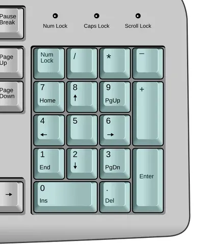 numeric keypad: the square, palm-sized section of a computer keyboard, usually on the far right side, with keys for...
