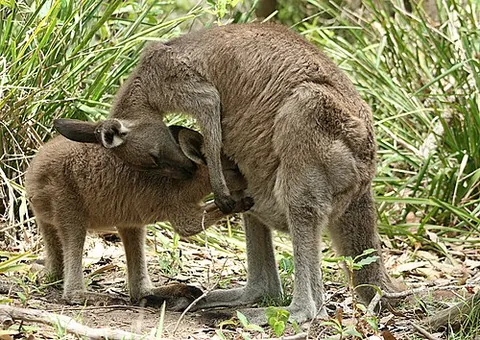 nurture: the act of nourishing or nursing; tender care