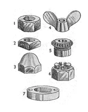 nut-head: the outer portion of a nut (as opposed to the threads inside)