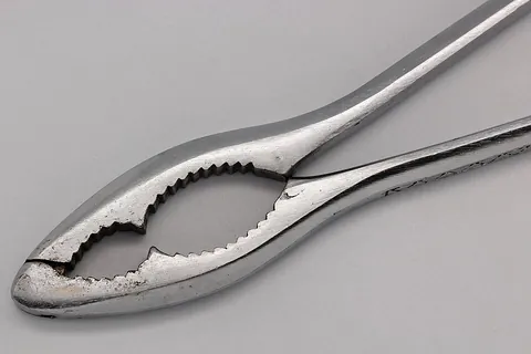 nutcracker: an implement for cracking nuts