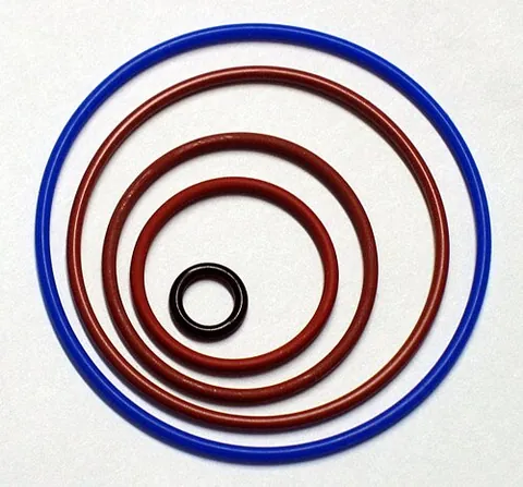 o-ring: a circular gasket, usually made of rubber