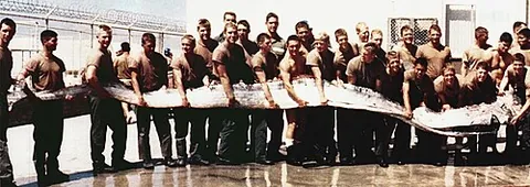 oarfish: a large, greatly elongated, type of fish of the family Regalecidae