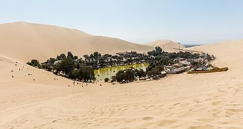 oasis: a spring of fresh water, surrounded by a fertile region of vegetation, in a desert