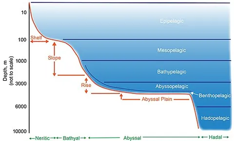 ocean depths: synonym of deep sea