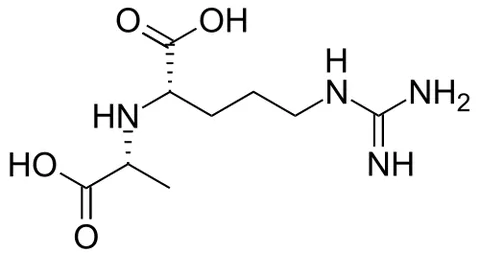 octopine: an analog of lactic acid, derived from the amino acids arginine and alanine, first isolated from...