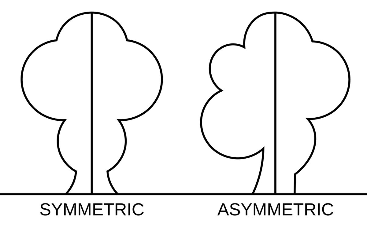asymmetry: an absence of symmetry or proportion between the parts of a thing, or a distinction that produces...