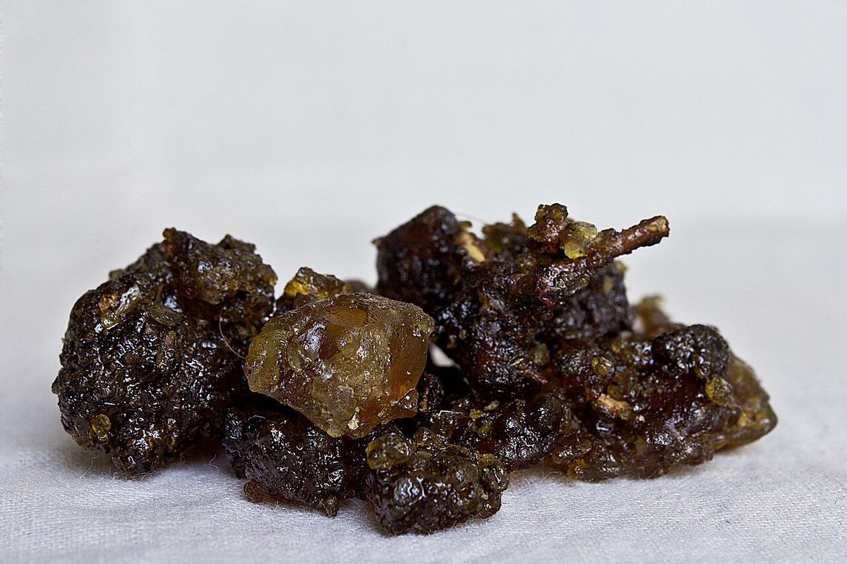 bdellium: an aromatic gum-like balsam extracted from one of several species of tree in the genus Commiphora