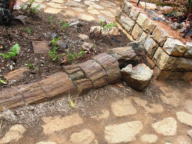 petrify: to turn to stone: to harden organic matter by permeating with water and depositing dissolved...