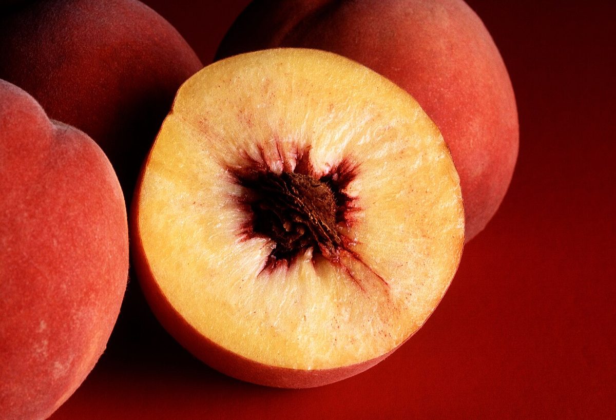 pyrena: a nutlet resembling a seed, or the stone of a drupe, comprising the endocarp and the kernel