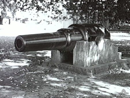 trunnion: one of the short stubby bearings on either side of a cannon; a pintle