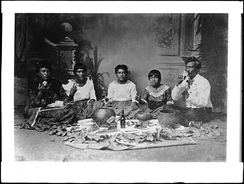 ohana: an extended Hawaiian family unit