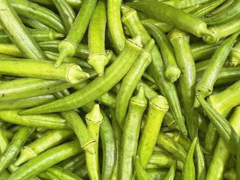 okra: the edible immature mucilaginous seed pod (properly, capsule) of the Abelmoschus esculentus