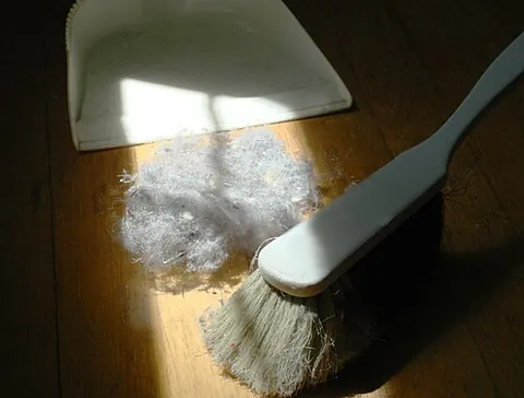 oose: fluff, particularly from a textile source such as cotton or wool