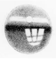 optogram: an image of external objects fixed on the retina by the photochemical action of light on rhodopsin