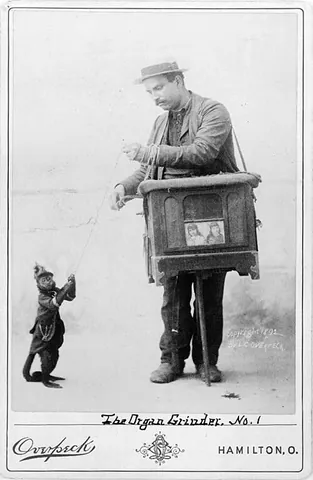 organ grinder: the player of a barrel organ