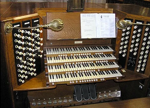 organ: the larger part of an organism, composed of tissues that perform similar functions