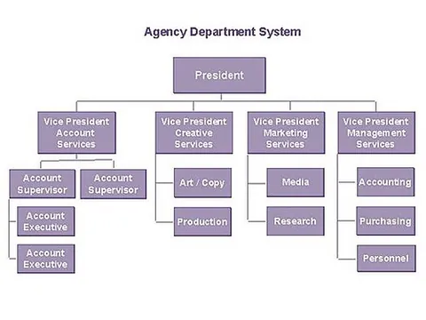 organization chart: a graphic display of reporting relationships in an organization, sometimes displaying position...