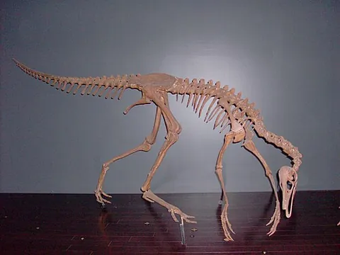 ornithomimus: any relatively small theropod dinosaur of the genus †Ornithomimus, the first genus of the...