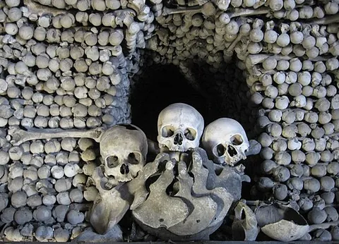 ossuary: a container, receptacle, or building, such as an urn or vault, for holding the bones of the dead