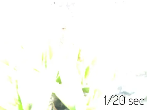 overexposure: excessive exposure