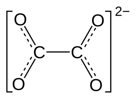 oxalate: any salt or ester of oxalic acid