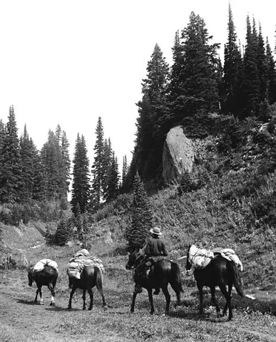 pack train: a procession of beasts of burden, such as horses or mules, laden with freight