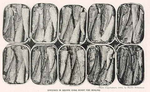 packed like sardines: densely packed; tightly squeezed together; crammed